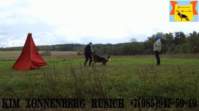 #Русич *KIM ZONNENBERG RUSICH* -тренинг с Дмитрием Мельниковым - сентябрь 2019г. смотреть онлайн