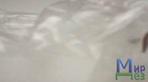 Тараканы прогрызают полиэтилен?