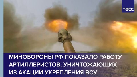 Минобороны РФ показало работу артиллеристов, уничтожающих из Акаций укрепления ВСУ #shorts