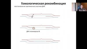 Лекция 7. Механизмы репарации ДНК (2022)
