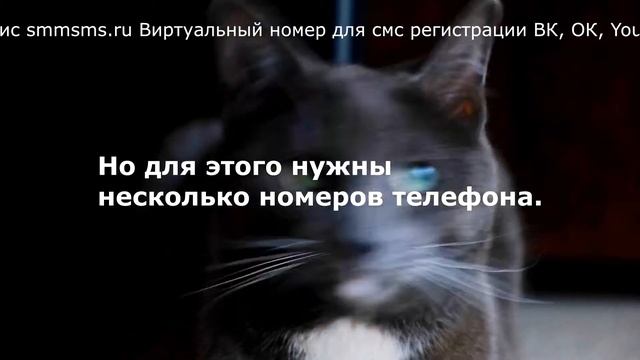 Сервис smmsms.ru Виртуальный номер для смс регистрации ВК, ОК, YouTube