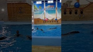 ДЕЛЬФИНЫ СПАСАЮТ ЛЮДЕЙ