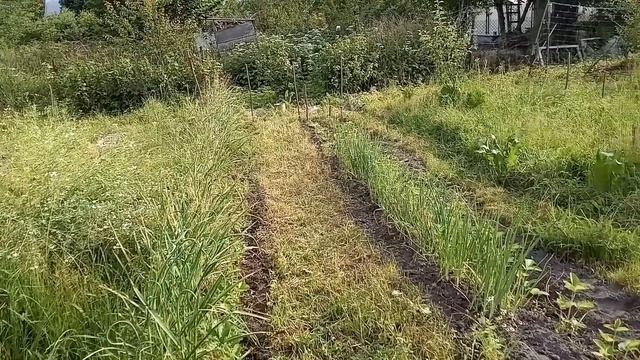 ГОД ПРОШЕЛ КАК СОН ПУСТОЙ