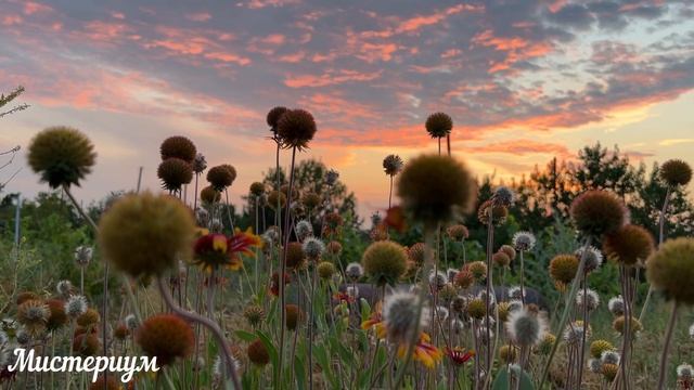 4 Самых Опасных дня в Июне 2023 Будьте осторожны Неблагоприятные дни месяца. смотреть онлайн