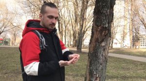 Отработка ударов на дереве