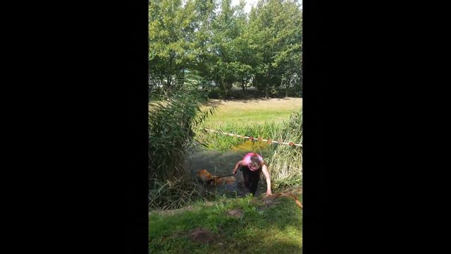 Dogsurvival 2016 Zuid Holland Akita Oeffelt Baloo van de Mulligenvree смотреть онлайн