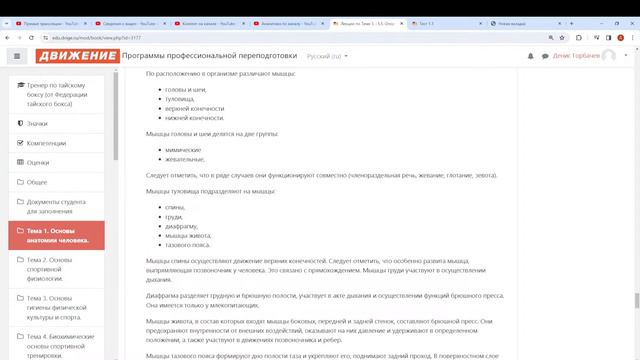 Тайский бокс (Муай Тай). Тест по анатомии. Тест 1.1