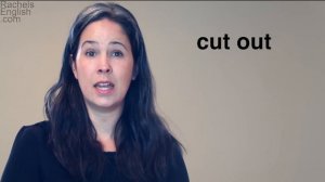 PHRASAL VERB CUT part 2