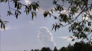 Рыбалка на Черноголовском пруду.
