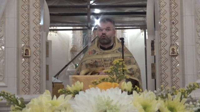 Проповедь настоятеля храма отца Димитрия. 19 ноября 2023 года. смотреть онлайн