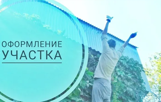 Оформление дачного участка. Удаление вьюнка.