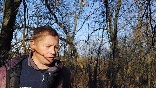 Почему начальники недалёкие.