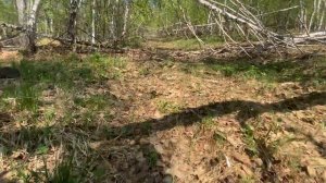 Серия 3 //  Уральская экспедиция Чегодаева (гора Масим - хр. Большой Шатак)