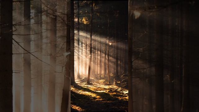 Первые шаги на духовном пути, на пути саморазвития, эволюции. Онлайн группа. смотреть онлайн