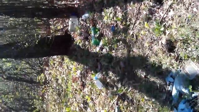 Лес,велопрогулка,мусор. смотреть онлайн