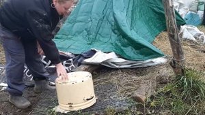 ЗАБОЙ БРОЙЛЕРА. СКОЛЬКО ВЕСИТ ТУШКА В 5 МЕСЯЦЕВ.