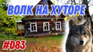 Привёз кирпич для дымохода. Переделал крышу. #хочувдеревню #хутор #волк