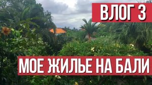 Влог 3 __ Мое жилье на Бали  __ Дарья Мойнич