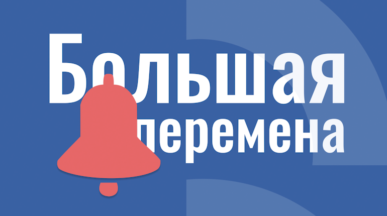 Большая перемена. Кошки вне политики.