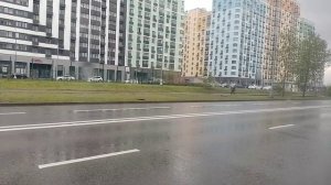 вид из окна автобуса