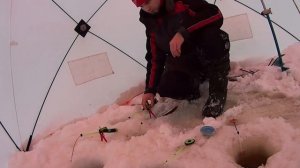 Сиг в соленой воде. На море за сигом/Опять Дойка/Sea fishing