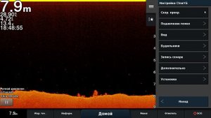 garmin 8412 GT34 Янтарная Настройки другие...