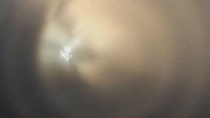 Рыбалка в Ленобласти #10