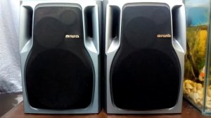 Caixa AIWA SX NS302YL