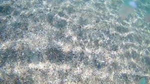 ✨ Гармонизация сознания ✨