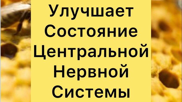 Чем Полезен ПРОПОЛИС?