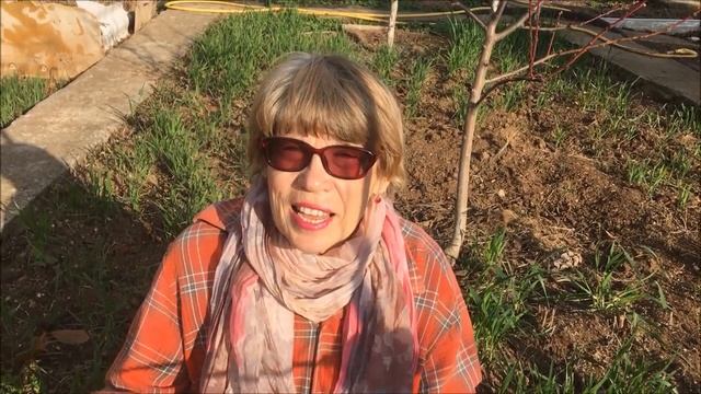 ЧЕМ ОБРАБОТАТЬ САД НА ЗИМУ / ОБРАБОТКА САДА МОЧЕВИНОЙ смотреть онлайн