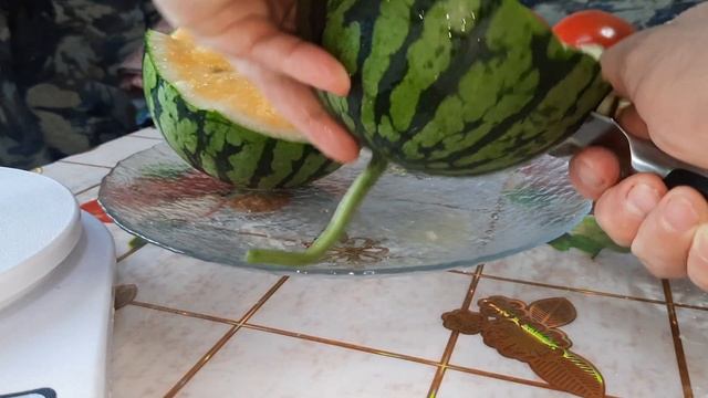 Дегустация арбузов 7.8.21. смотреть онлайн