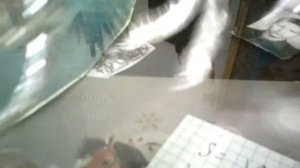 Мои лошадки ис фольги! ???