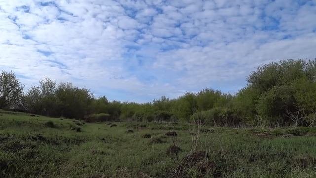 НАШЛИ!!!КОНСТРУКЦИИ ДОСТАЮ ОГРОМНЫЕ НАХОДКИ КОП МЕТАЛЛОЛОМА ВСЁ БЫЛО В ДЕБРЯХ.