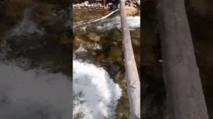 река , правая Мама