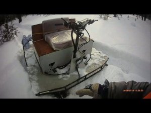 По пухляку 70 см в лесу. 19.02.2019г.