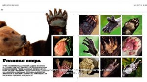 Анонс журнала Вокруг Света №9 2015 года