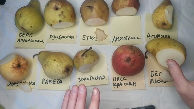 Бере Апрельская, Кучерянка, Анжелис, Амфора, Яблунівська Ракета, Золотистая Пасс Крассан, Бере Люка смотреть онлайн