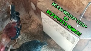 КАК РАБОТАЕТ КОНВЕКТОРНЫЙ ОБОГРЕВАТЕЛЬ В КУРЯТНИКЕ