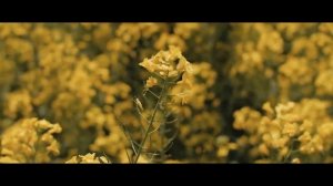 Марин и Марина Севастиян  - Твоя милость -  Христианские песни