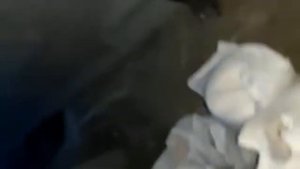 Пигментированная штукатурка