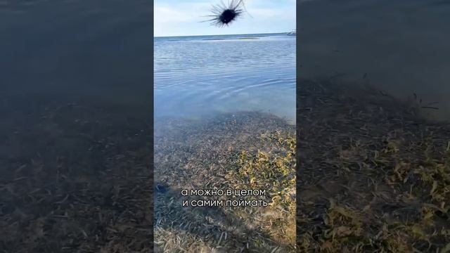 А где вы еще такое видели? ? #путешествия #путешествия #туризм смотреть онлайн