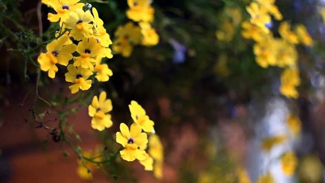 Музыка весеннего настроения смотреть онлайн