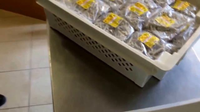 Пластиковый контейнер, пластиковый ящик для овощей и фруктов, мяса, молока, рыбы, рассады смотреть онлайн