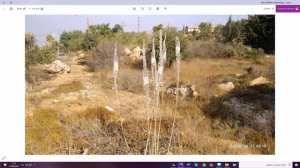 31.08.2020, Хадашот, уровень 2