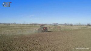 “Кировец” в действии: возвращение к жизни многолетних залежных земель