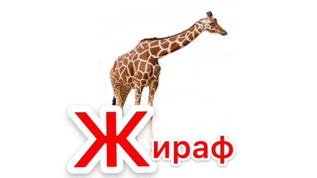 АЗБУКА ДЛЯ ДЕТЕЙ — УЧИМ буквы — БУКВА Ж — вместе с куклой-Маппет Августой смотреть онлайн