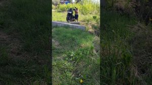 Переезжаем бетонные блоки на скутере Венто смарт 3. Часть 1.