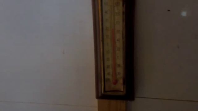 Цыплят перевела в сарай. Кучинские цыплята. смотреть онлайн