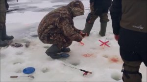 Рыбалка в Подмосковье и Москве(зимняя,летняя)